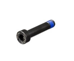 Trek W546730 Bullone M8x1,25x40mm Acciaio