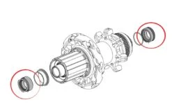 Fulcrum Kit Adattatore Mozzo Posteriore Hh12/142 Db -Offerte Bicicletta Negozio kit adattatore mozzo fulcrum